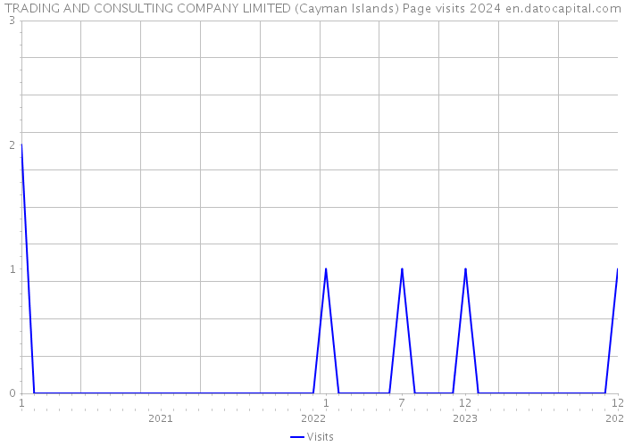TRADING AND CONSULTING COMPANY LIMITED (Cayman Islands) Page visits 2024 