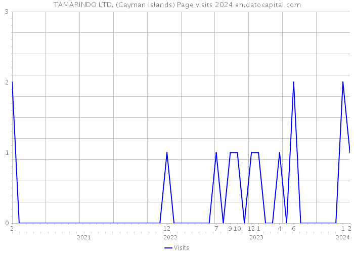 TAMARINDO LTD. (Cayman Islands) Page visits 2024 