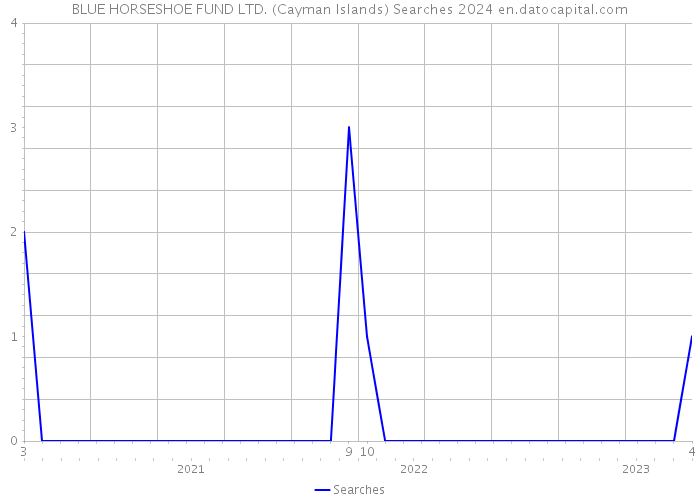 BLUE HORSESHOE FUND LTD. (Cayman Islands) Searches 2024 