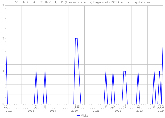 P2 FUND II LAP CO-INVEST, L.P. (Cayman Islands) Page visits 2024 