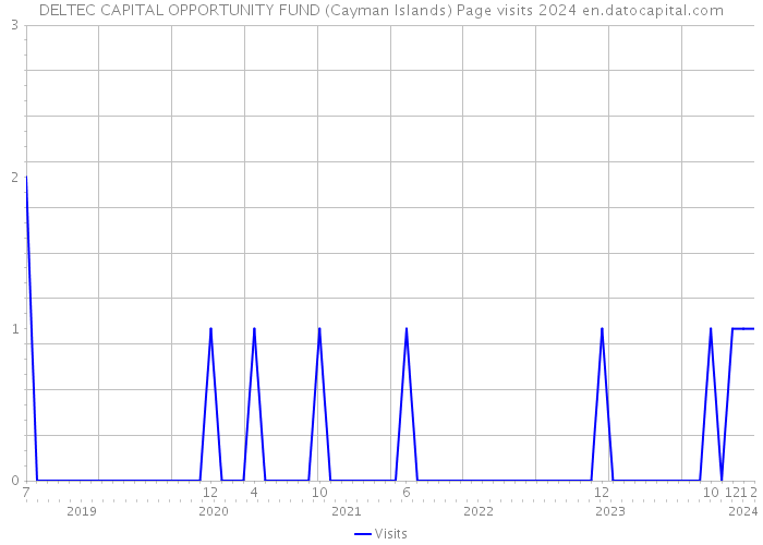 DELTEC CAPITAL OPPORTUNITY FUND (Cayman Islands) Page visits 2024 