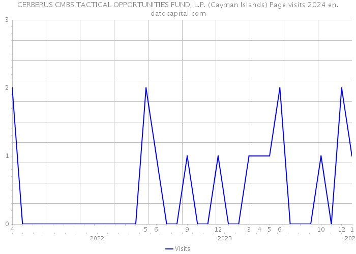 CERBERUS CMBS TACTICAL OPPORTUNITIES FUND, L.P. (Cayman Islands) Page visits 2024 