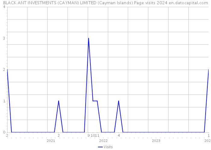BLACK ANT INVESTMENTS (CAYMAN) LIMITED (Cayman Islands) Page visits 2024 