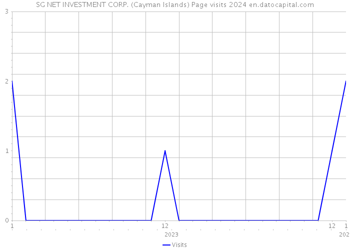 SG NET INVESTMENT CORP. (Cayman Islands) Page visits 2024 
