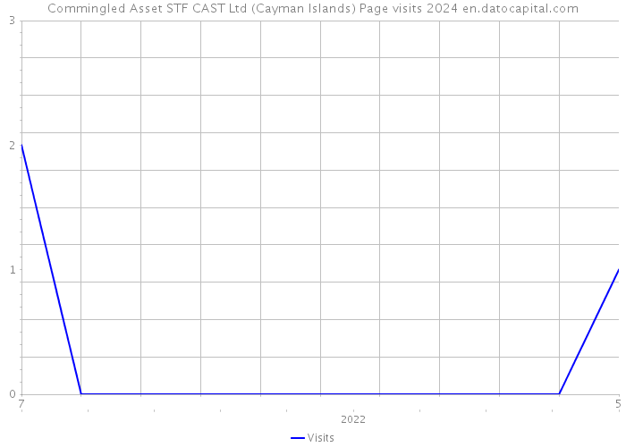 Commingled Asset STF CAST Ltd (Cayman Islands) Page visits 2024 