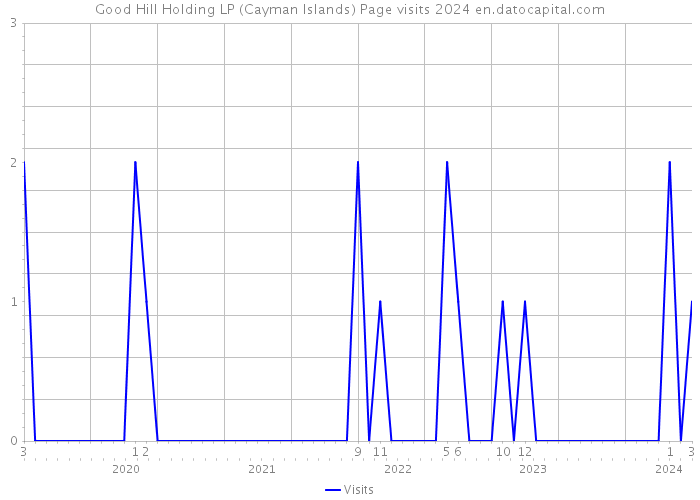 Good Hill Holding LP (Cayman Islands) Page visits 2024 