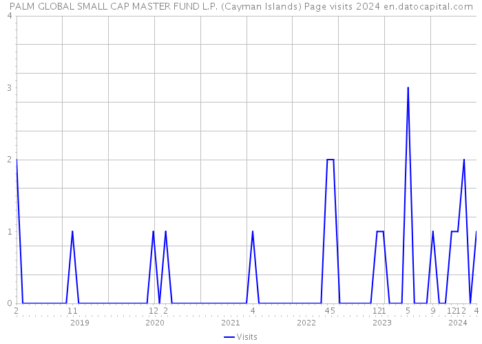 PALM GLOBAL SMALL CAP MASTER FUND L.P. (Cayman Islands) Page visits 2024 