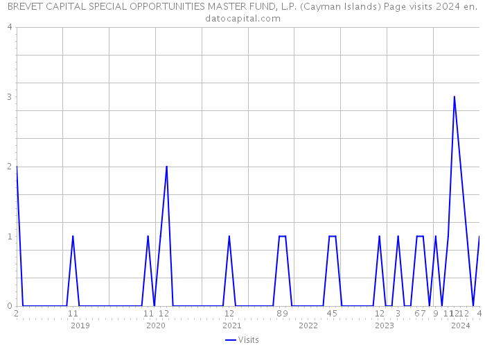 BREVET CAPITAL SPECIAL OPPORTUNITIES MASTER FUND, L.P. (Cayman Islands) Page visits 2024 