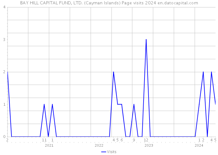 BAY HILL CAPITAL FUND, LTD. (Cayman Islands) Page visits 2024 