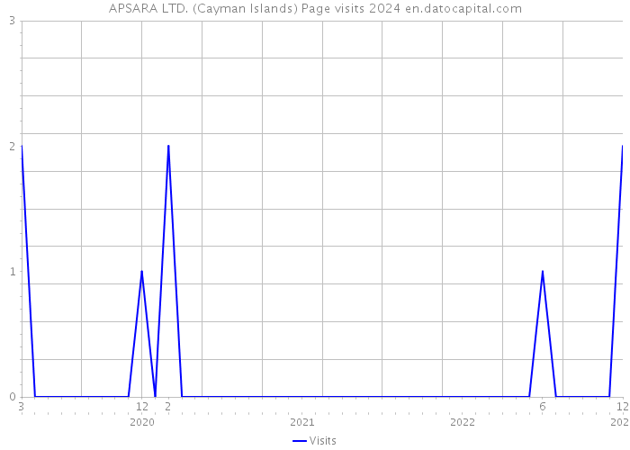 APSARA LTD. (Cayman Islands) Page visits 2024 