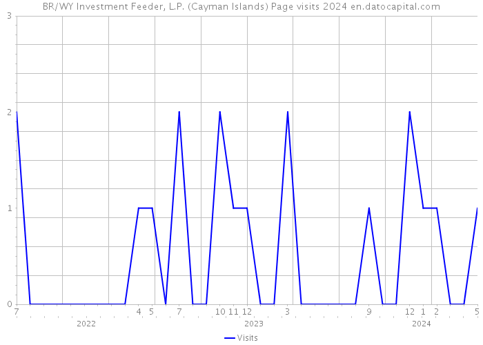 BR/WY Investment Feeder, L.P. (Cayman Islands) Page visits 2024 