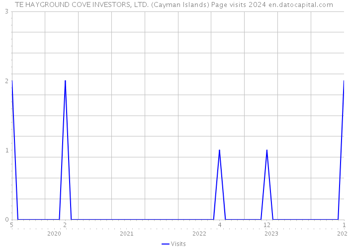 TE HAYGROUND COVE INVESTORS, LTD. (Cayman Islands) Page visits 2024 