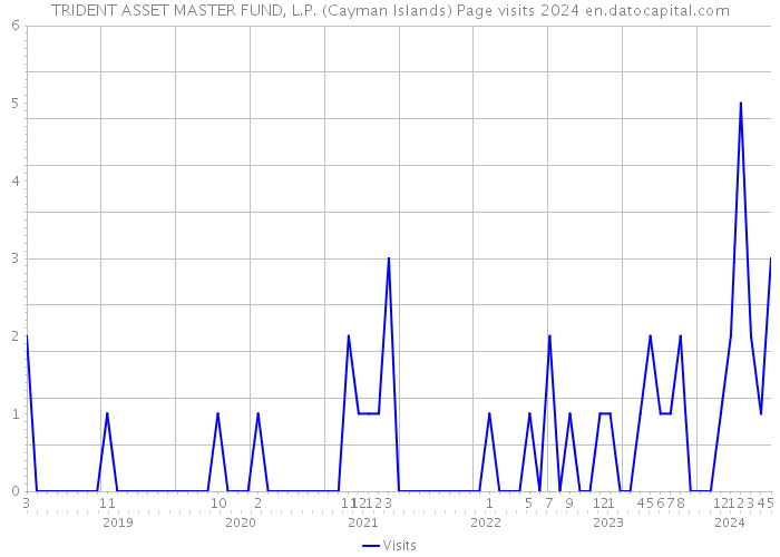 TRIDENT ASSET MASTER FUND, L.P. (Cayman Islands) Page visits 2024 
