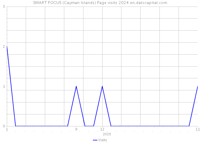 SMART FOCUS (Cayman Islands) Page visits 2024 