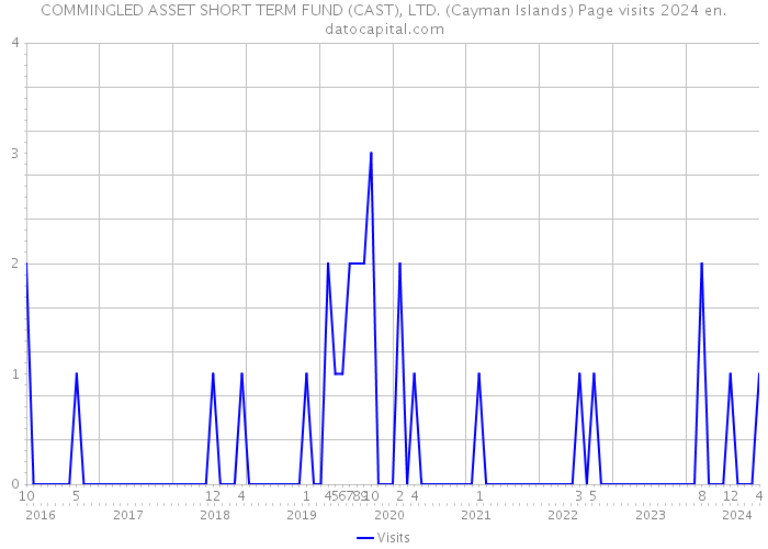 COMMINGLED ASSET SHORT TERM FUND (CAST), LTD. (Cayman Islands) Page visits 2024 