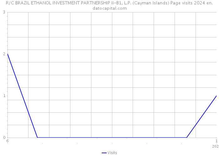 R/C BRAZIL ETHANOL INVESTMENT PARTNERSHIP II-B1, L.P. (Cayman Islands) Page visits 2024 