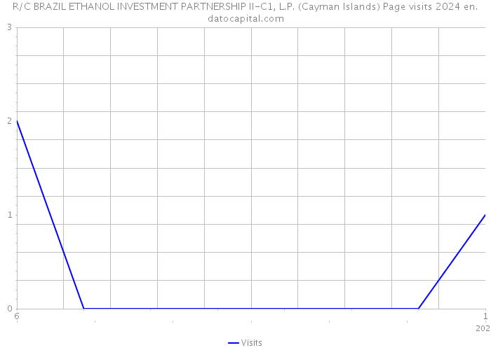 R/C BRAZIL ETHANOL INVESTMENT PARTNERSHIP II-C1, L.P. (Cayman Islands) Page visits 2024 
