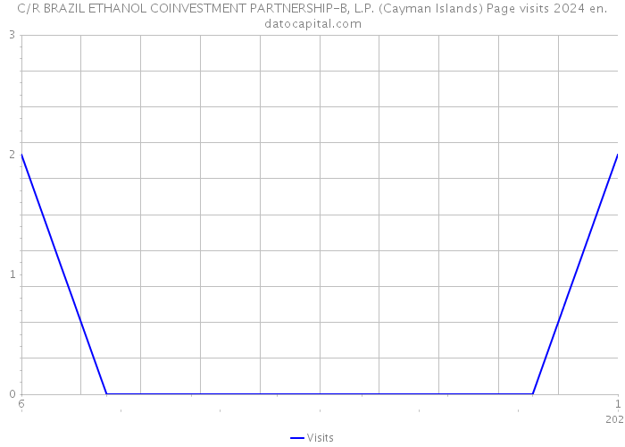 C/R BRAZIL ETHANOL COINVESTMENT PARTNERSHIP-B, L.P. (Cayman Islands) Page visits 2024 