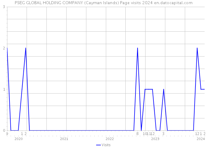 PSEG GLOBAL HOLDING COMPANY (Cayman Islands) Page visits 2024 