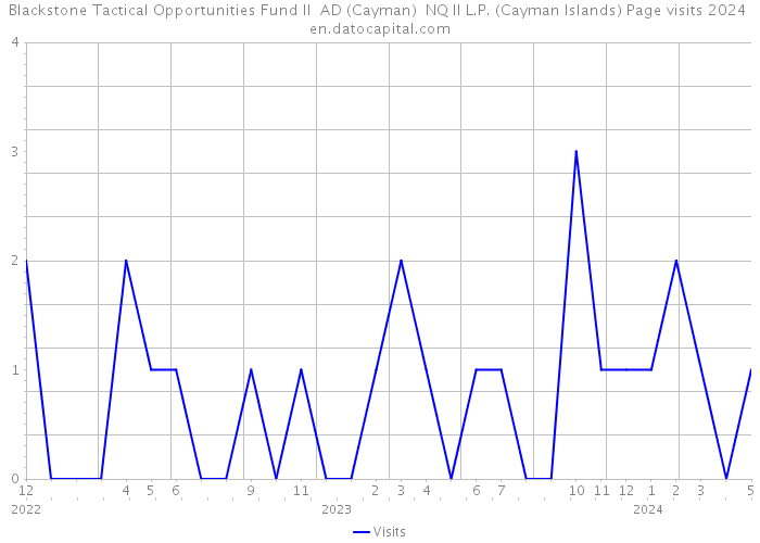 Blackstone Tactical Opportunities Fund II AD (Cayman) NQ II L.P. (Cayman Islands) Page visits 2024 