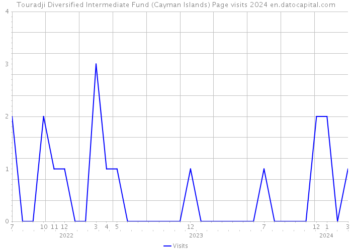 Touradji Diversified Intermediate Fund (Cayman Islands) Page visits 2024 