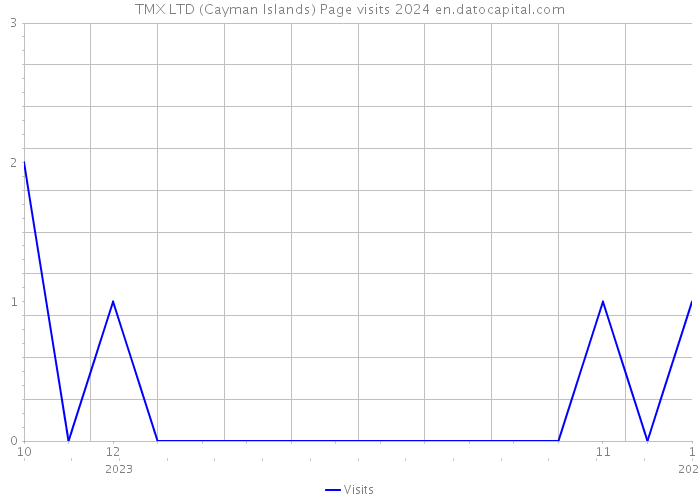TMX LTD (Cayman Islands) Page visits 2024 