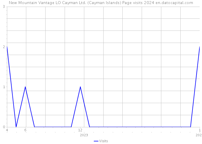 New Mountain Vantage LO Cayman Ltd. (Cayman Islands) Page visits 2024 