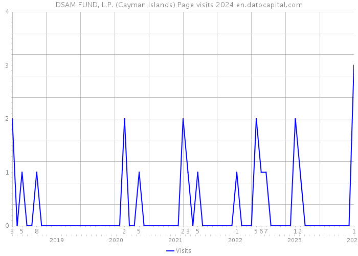 DSAM FUND, L.P. (Cayman Islands) Page visits 2024 