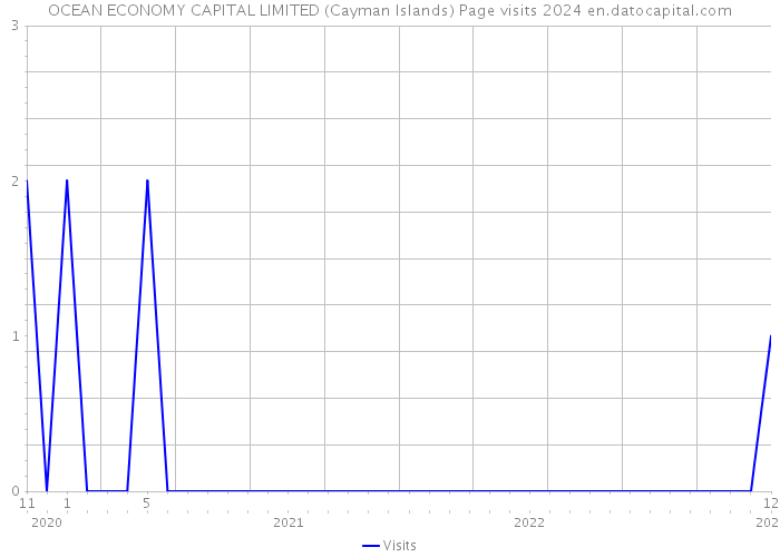 OCEAN ECONOMY CAPITAL LIMITED (Cayman Islands) Page visits 2024 