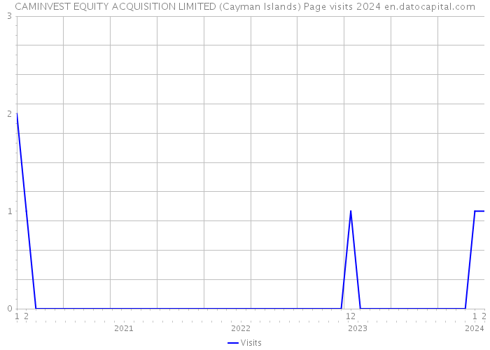 CAMINVEST EQUITY ACQUISITION LIMITED (Cayman Islands) Page visits 2024 