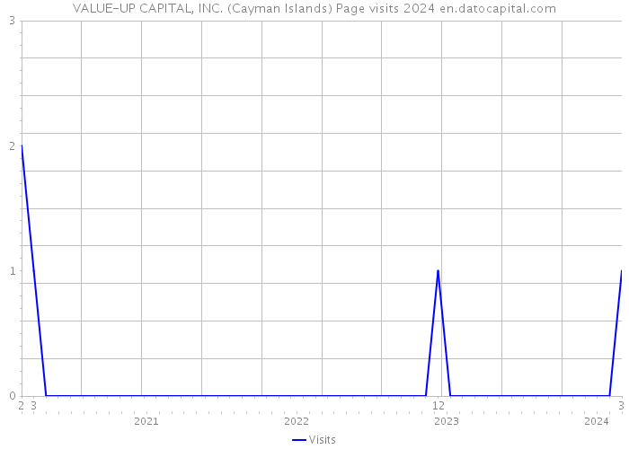 VALUE-UP CAPITAL, INC. (Cayman Islands) Page visits 2024 