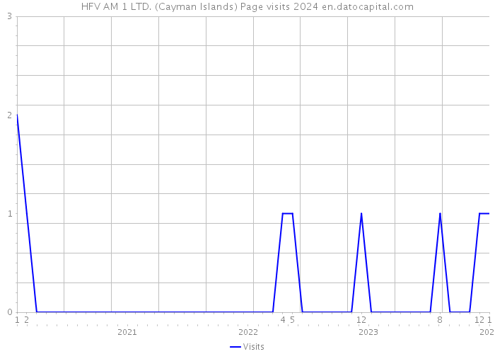 HFV AM 1 LTD. (Cayman Islands) Page visits 2024 