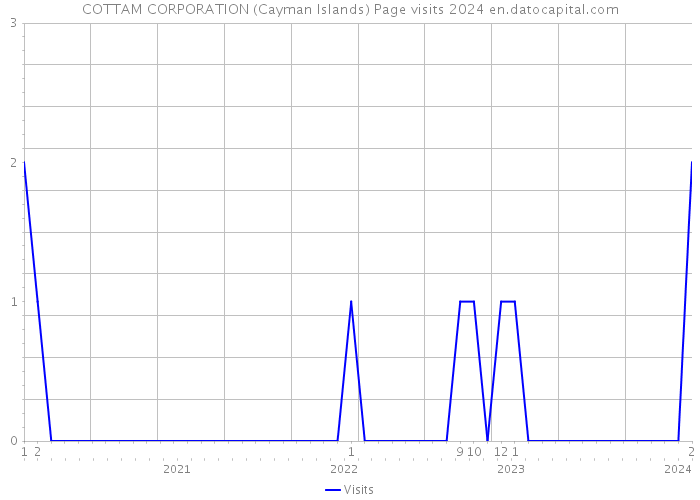 COTTAM CORPORATION (Cayman Islands) Page visits 2024 