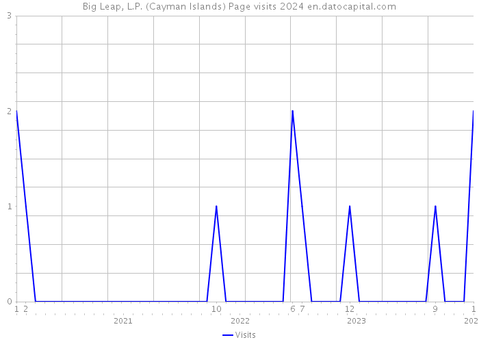 Big Leap, L.P. (Cayman Islands) Page visits 2024 