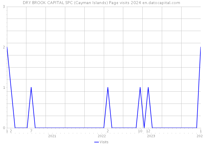 DRY BROOK CAPITAL SPC (Cayman Islands) Page visits 2024 