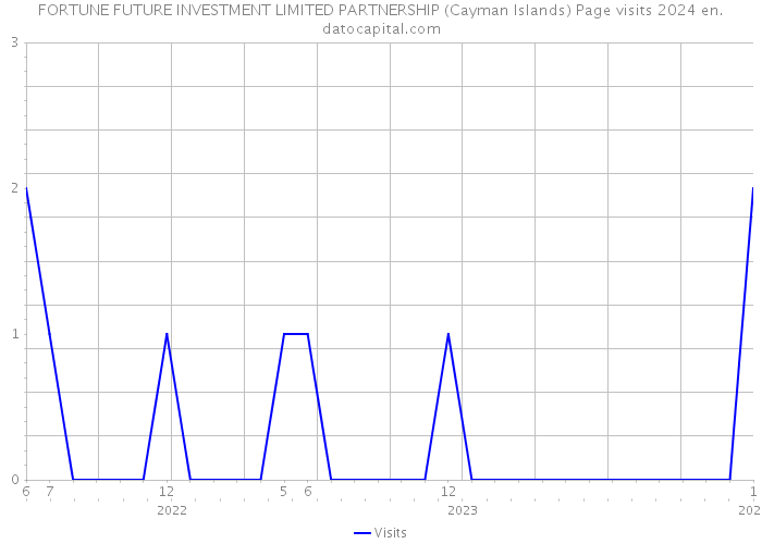 FORTUNE FUTURE INVESTMENT LIMITED PARTNERSHIP (Cayman Islands) Page visits 2024 
