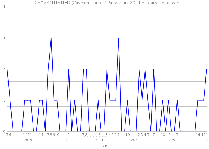 PT CAYMAN LIMITED (Cayman Islands) Page visits 2024 