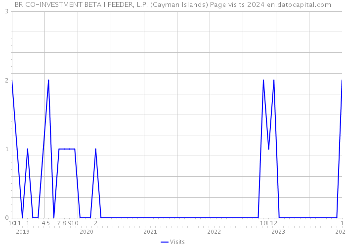 BR CO-INVESTMENT BETA I FEEDER, L.P. (Cayman Islands) Page visits 2024 