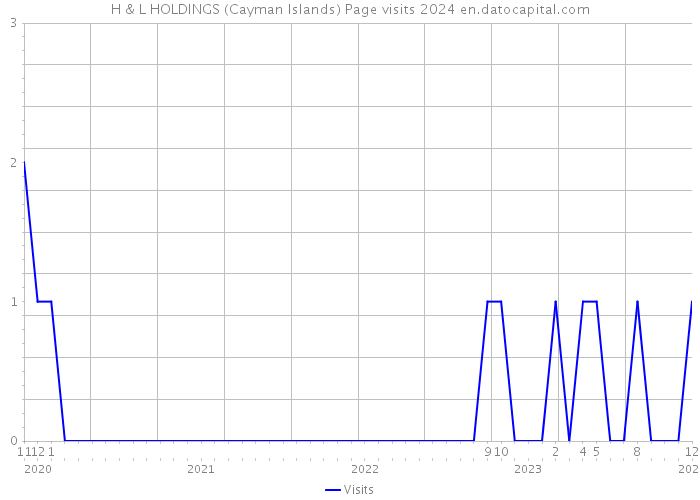 H & L HOLDINGS (Cayman Islands) Page visits 2024 