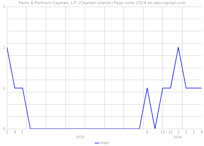 Paine & Partners Cayman, L.P. (Cayman Islands) Page visits 2024 