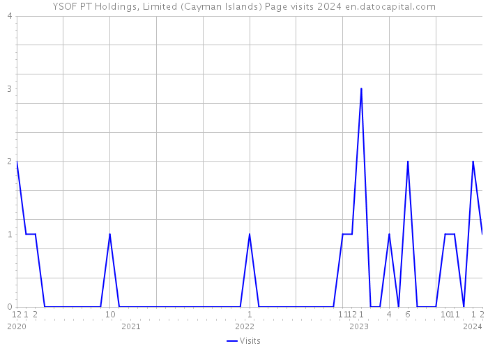 YSOF PT Holdings, Limited (Cayman Islands) Page visits 2024 