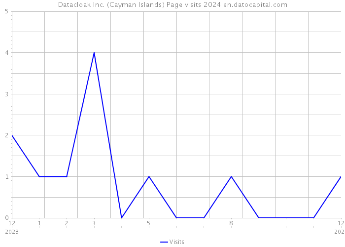 Datacloak Inc. (Cayman Islands) Page visits 2024 