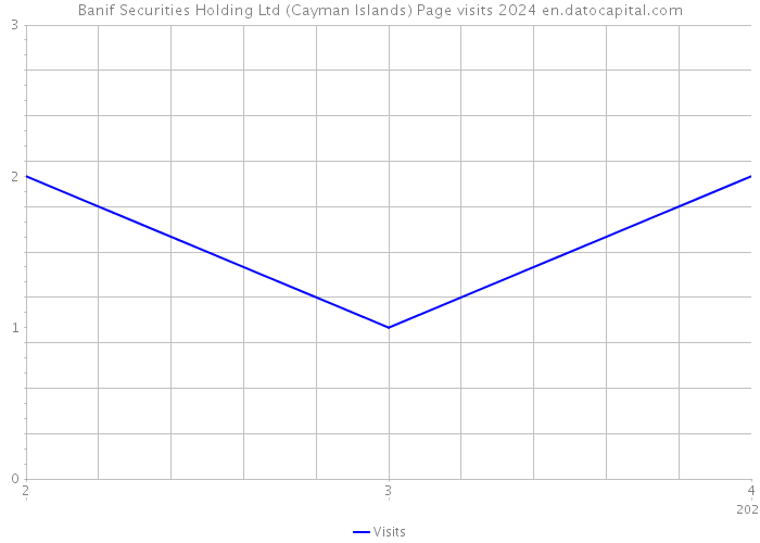 Banif Securities Holding Ltd (Cayman Islands) Page visits 2024 