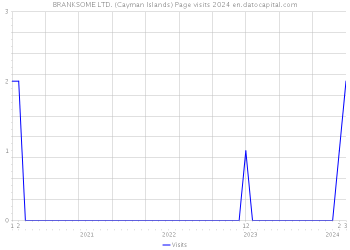 BRANKSOME LTD. (Cayman Islands) Page visits 2024 