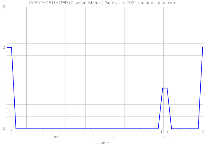 CARAPACE LIMITED (Cayman Islands) Page visits 2024 