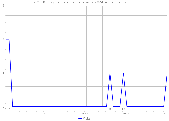 VJM INC (Cayman Islands) Page visits 2024 