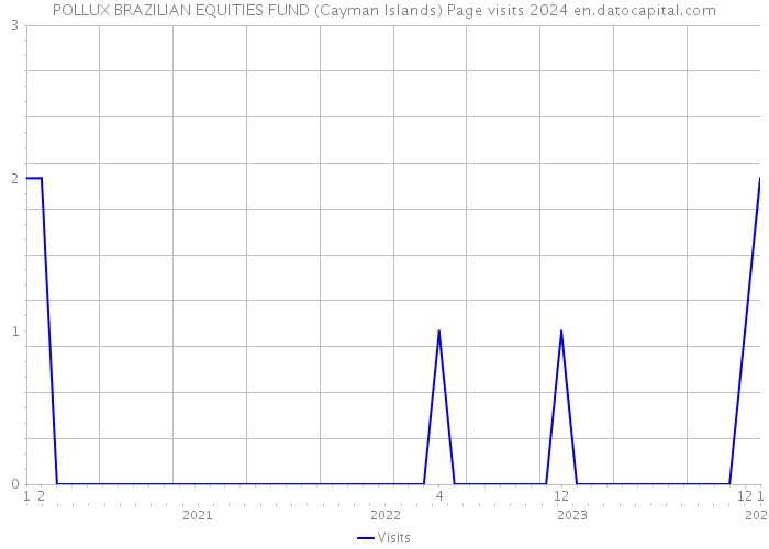 POLLUX BRAZILIAN EQUITIES FUND (Cayman Islands) Page visits 2024 