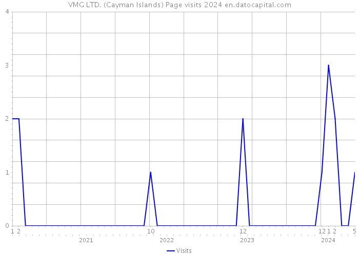 VMG LTD. (Cayman Islands) Page visits 2024 