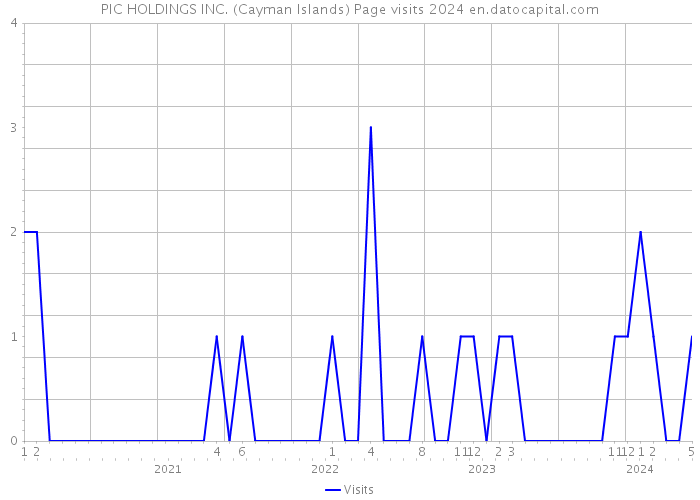 PIC HOLDINGS INC. (Cayman Islands) Page visits 2024 