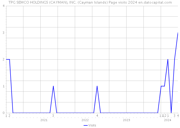 TPG SEMCO HOLDINGS (CAYMAN), INC. (Cayman Islands) Page visits 2024 